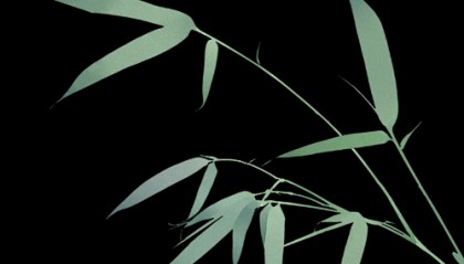 央视新闻联播头条报道西安交大!