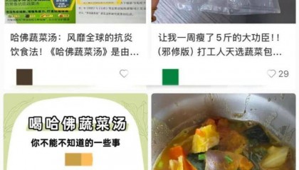 “哈佛蔬菜汤”走红,真有那么神吗?专业解读来了