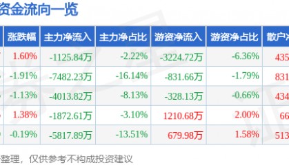 股票行情快报:数据港(603881)8月11日主力资金净卖出1125.84万元