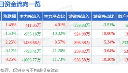 股票行情快报:岳阳兴长(000819)8月11日主力资金净买入411.35万元