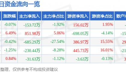 股票行情快报:岳阳兴长(000819)6月5日主力资金净卖出153.72万元