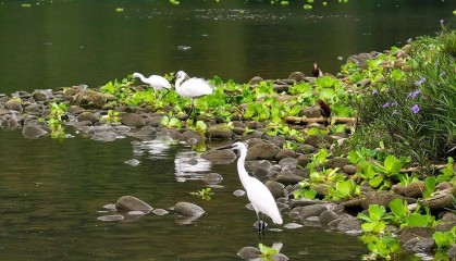 霸州:今天下午13时56分57秒刚刚发生