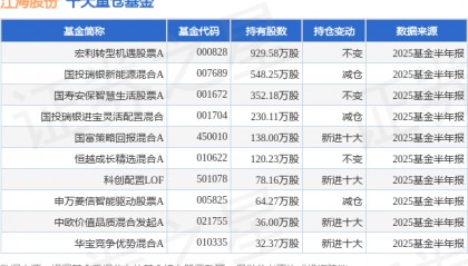 8月4日江海股份涨10.00%,宏利转型机遇股票A基金重仓该股