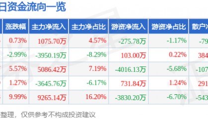 股票行情快报:岳阳兴长(000819)7月15日主力资金净买入1075.70万元