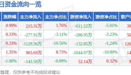 股票行情快报:广深铁路(601333)5月29日主力资金净买入215.31万元