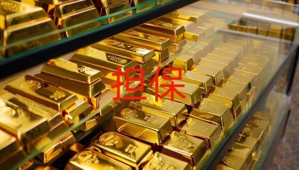 大恒科技为子公司中国大恒提供800万元担保