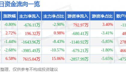 股票行情快报:大连圣亚(600593)6月10日主力资金净卖出676.11万元