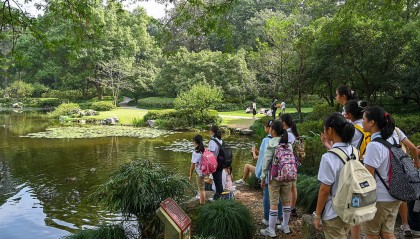 多地中小学生“喜提”5天秋假,用孩子拉动消费能如愿吗?
