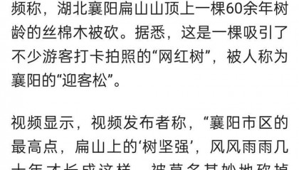 今日视点:湖北电视台热点新闻深度解析