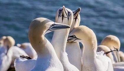 大恒科技股价上涨1.03% 上半年亏损同比收窄至274万元