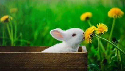 大恒科技股价上涨1.03% 上半年亏损同比收窄至274万元