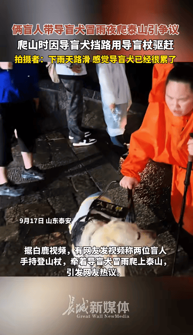 盲人带导盲犬雨夜爬泰山引争议,导盲犬大连基地:暂停导盲犬使用,将派专人专车接回