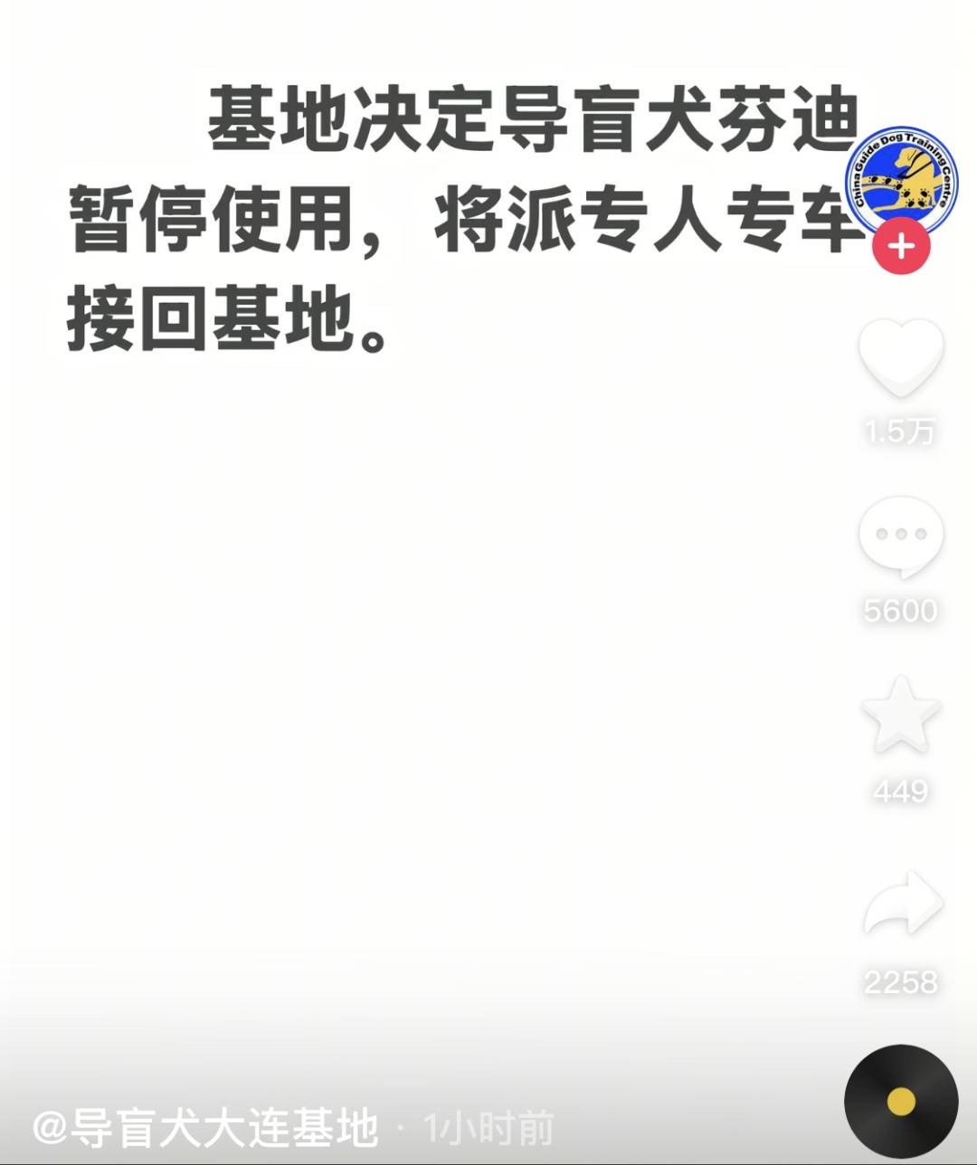 盲人带导盲犬雨夜爬泰山引争议,导盲犬大连基地:暂停导盲犬使用,将派专人专车接回